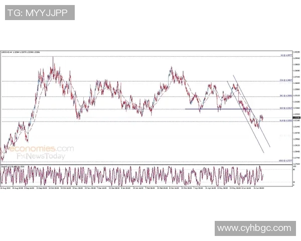 数据分析：球员交易后表现波动大 本赛季交易市场动态揭示新趋势